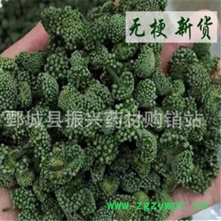 【振兴药材】中药材批发供应【三七花】图2