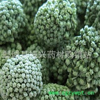 【振兴药材】中药材批发供应【三七花】图4