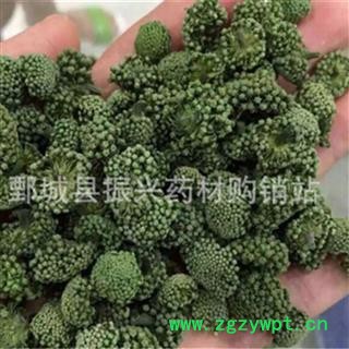 【振兴药材】中药材批发供应【三七花】图3