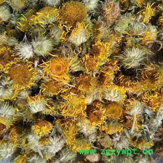 旋复花 旋覆花选货  质量好 价格低  产地 山东省图2