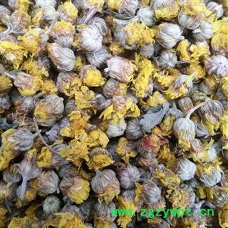 野菊花选货 质量好价格低  产地 山东省图2