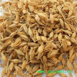 生麦芽 麦芽选货 芽多 供应各种中药材 产地 山东省图2