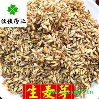 生麦芽 麦芽选货 芽多 供应各种中药材 产地 山东省图3