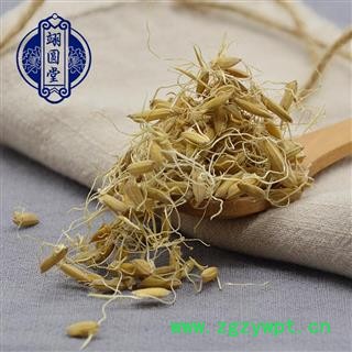 稻芽 谷芽 生稻芽 生谷芽 稻谷芽图3