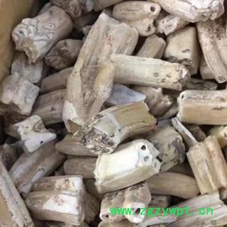 【精选】秦岭优质大块龙齿 产地直发日晒无硫 500g图3