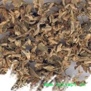 南芫花、芫花条、药鱼草、莞花、头痛花、闷头花、老鼠花等图2