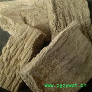 人中白 统 产地 江苏省泰州市姜堰市图2