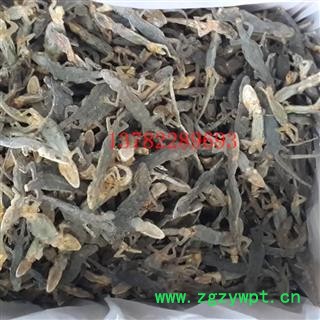 壁虎，天龙， 河南产，今年新货 ，要量大另议图2