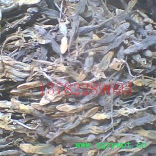 壁虎，天龙， 河南产，今年新货 ，要量大另议图3