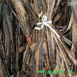 地龙 统 产地 广西壮族自治区图2