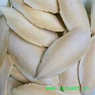 海螵蛸 统 产地 广西壮族自治区图2