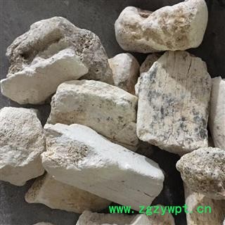 龙骨 大块 产地直销 批发各类中药材 冷背货 矿石等 另有煅龙骨 产地 甘肃图3