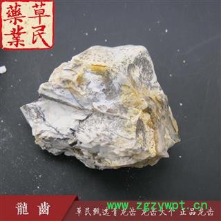 草民甄选青龙齿 龙齿大个 正品龙齿 实物如图 专业批发量大从优图2