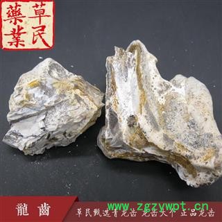 草民甄选青龙齿 龙齿大个 正品龙齿 实物如图 专业批发量大从优图4