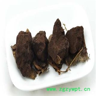 煜庭药业 儿茶 国产 正品 促销图2