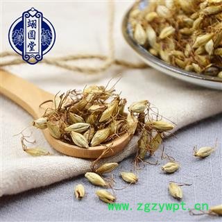 炒麦芽 中药材大麦芽茶图4