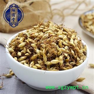 炒麦芽 中药材大麦芽茶图3