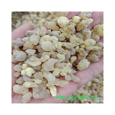 乳香 乳香一级 精品乳香珠 产地 海外 小影全品类中药材店铺