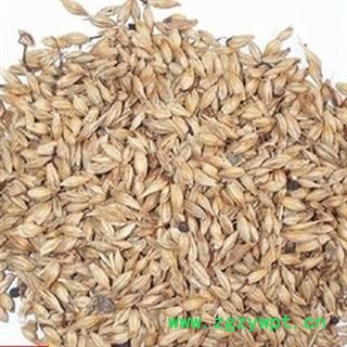 安祁名药正品麦芽 全麦芽 统 产地 河北省图2