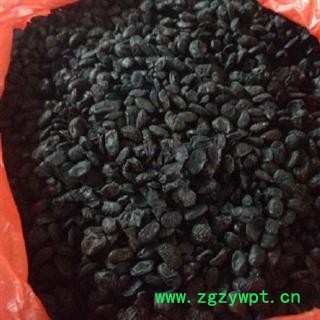 淡豆豉 选 淡豆豉 产地 辽宁省 德誉堂药业批发各种中药材图2