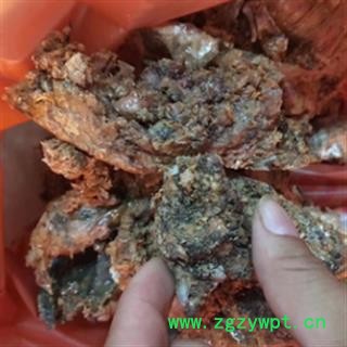 安祁名药正品阿魏 五彩阿魏图2