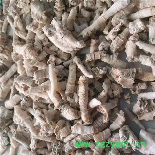 安祁名药正品鹅管石 钟乳滴乳石 滴乳石 珊瑚鹅管石图2