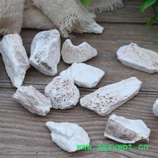 五花龙骨 秦岭特级正品生龙骨 500克可配牡蛎壳使用图4