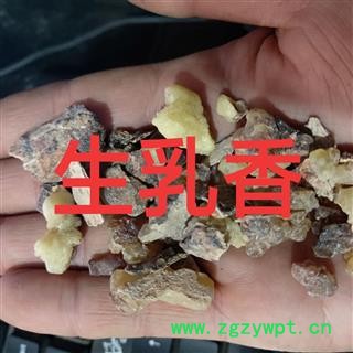 乳香 原乳香 产地 海外图3
