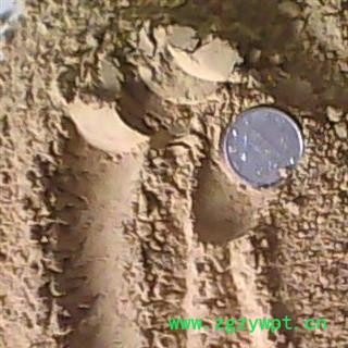 禹余粮 ，禹粮石，淡黄色，粗粉，或100目的粉， 产地 河南省图3