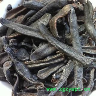 水蛭 统 产地 江苏省图2