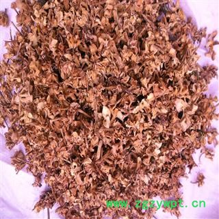 煜庭药业 栀子花图3