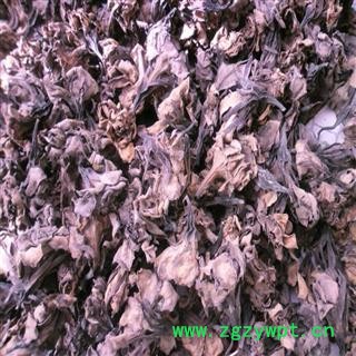 煜庭药业 栀子花图2