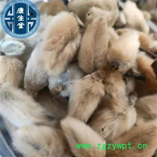 【康生堂】辛夷花 批发各种中药材 一手货源 产地 河南省图3