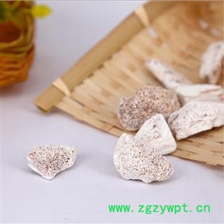 龙骨 水洗统块水洗干净 药典品种 高质量规格 甘肃产图2