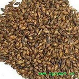 大麦芽 炒大麦芽，炒麦芽，焦麦芽，统货 产地 河南省图2