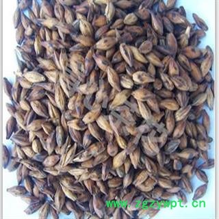 大麦芽 炒大麦芽，炒麦芽，焦麦芽，统货 产地 河南省图3