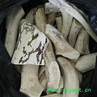 京辉药业 鹿角霜图3