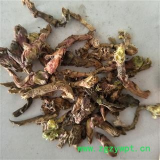 精品款冬花统货 质量好 价格低  产地直销 产地 甘肃省图2