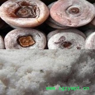 煜庭药业 柿霜 白柿 干柿白霜 柿霜饼 正品图2