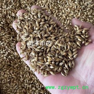 【麦芽炒麦芽好统货】【润泽中药】中药材批发供应 规格齐全 量大从优图2