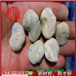 石燕统货 四川石燕 药典正品 中药材 瑞芝堂产地直供1000克 规格齐全 一站购齐图2