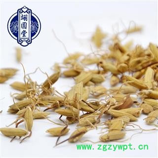 炒谷芽 选 中药材炒谷芽小米芽有生谷芽图4