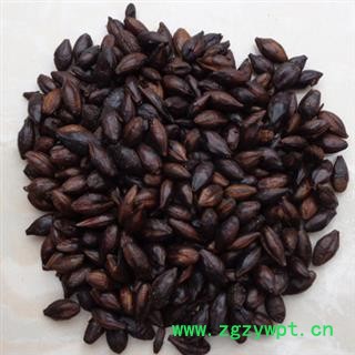 安祁名药正品麦芽 焦麦芽 焦三仙 产地 河北省图2
