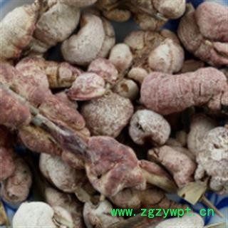 安祁名药天竺黄 天竺花图2