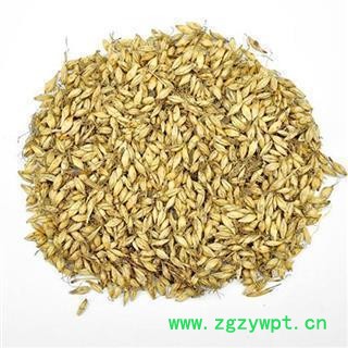 麦芽 麦芽统货 产地 山东省图2