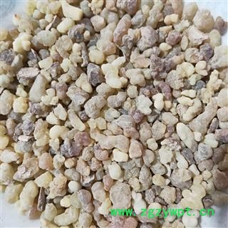 乳香 乳珠 产地 海外图3