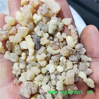 乳香 乳珠 产地 海外图2