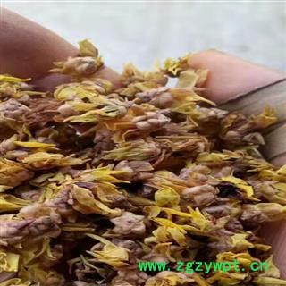 腊梅花 选 产地 江苏省扬州市广陵区图3