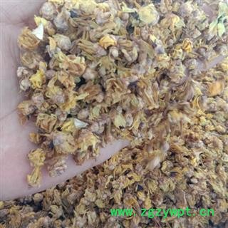 腊梅花 选 产地 江苏省扬州市广陵区图2