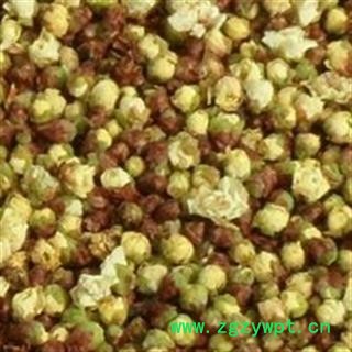 京辉药业  绿鄂梅 绿梅花 白梅花 纯天然 优质 批发 零售图2